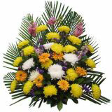 «ʻԤ